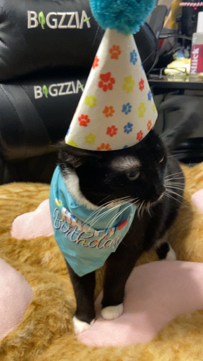 Curly🌙⭑.ᐟ tweet media