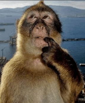 lsjj2009 tweet media