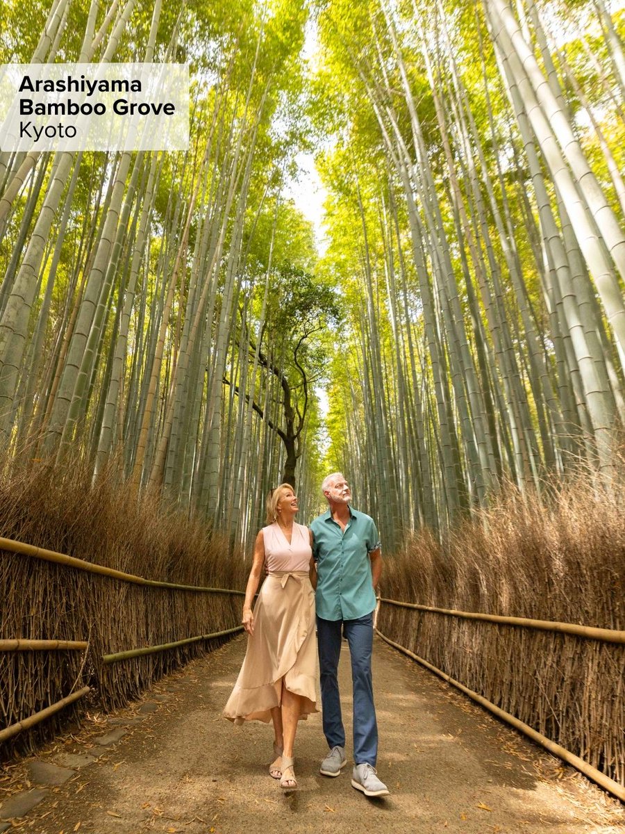 Princess Cruises tweet media