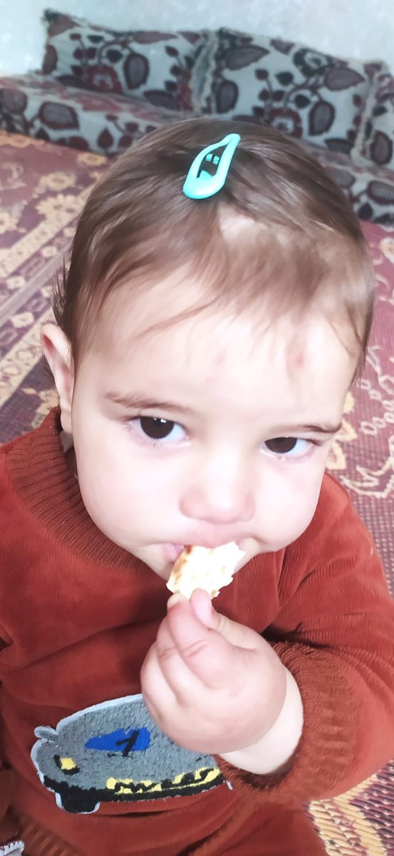 Aseel Mustafa | 🇵🇸🍉 tweet media