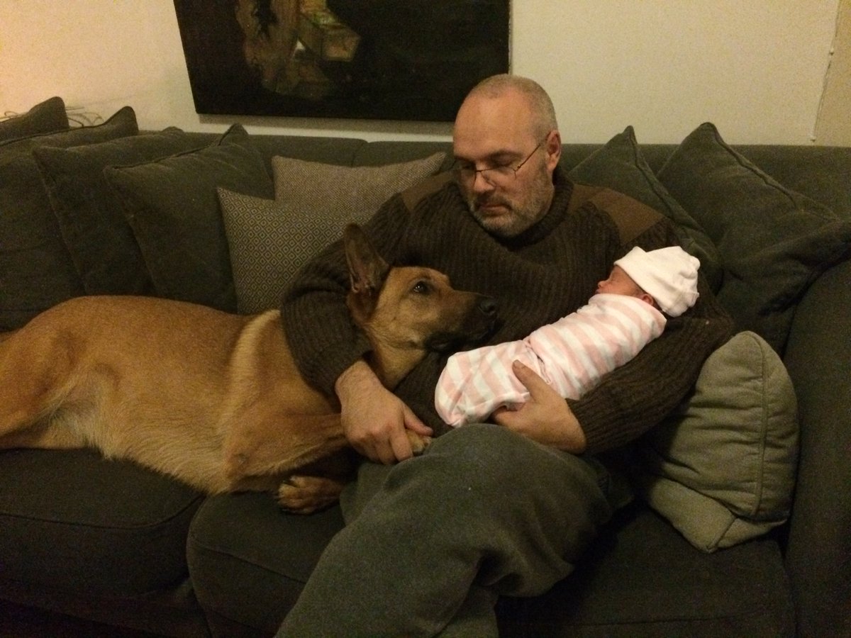 Superjan (@superjan) on Twitter photo 