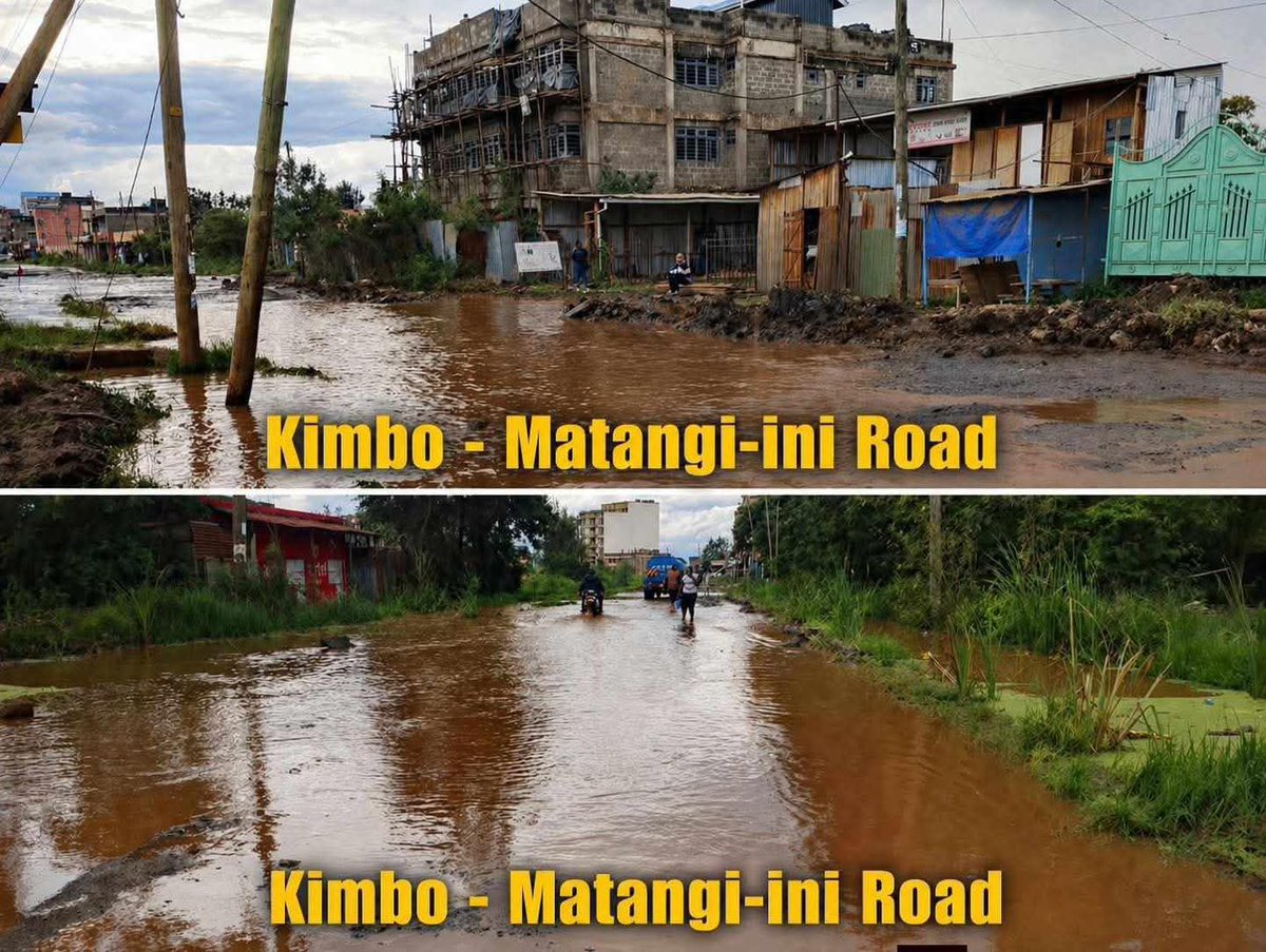 Mary Njoroge tweet media