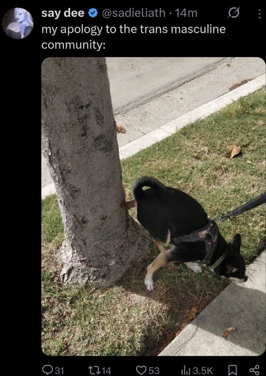 trashsushi tweet media