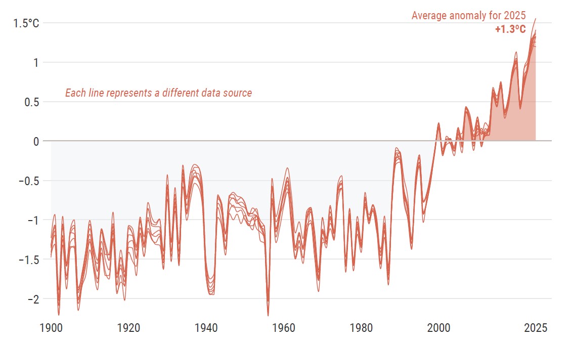Cazatormentas tweet media