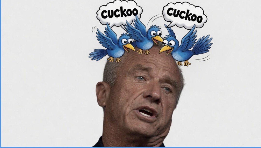 Bob Binkerdink tweet media