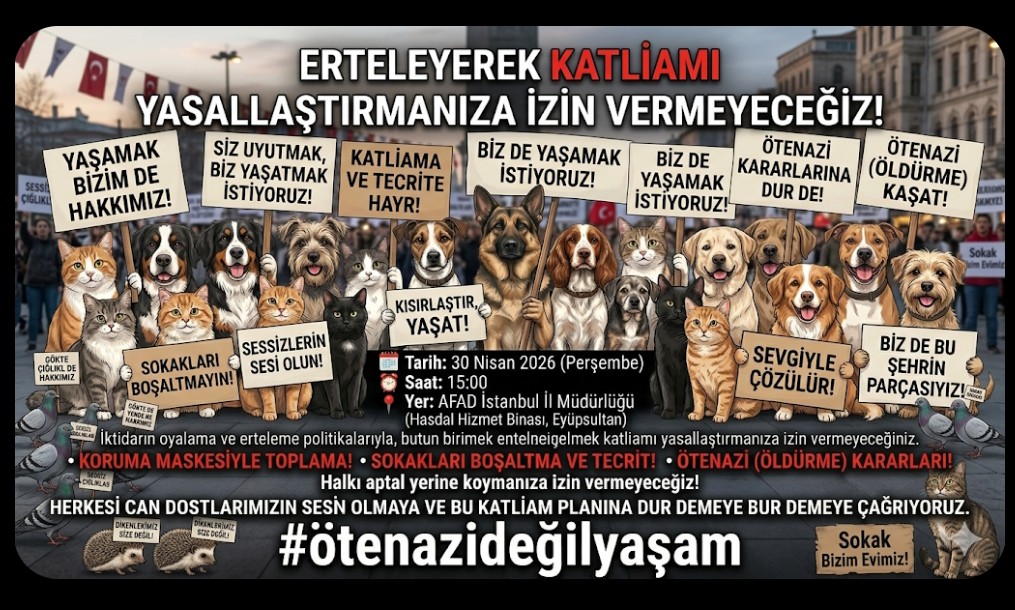ss_biricikk's tweet photo. Mahşer günü geldiğinde, bugün sesi çıkmayan o canlılar dile gelip şikayetçi olacaklar. Onların yaşam alanlarını ellerinden aldık, şimdi de canlarını mı alacağız? Lütfen elinizi vicdanınıza koyun ve bu kıyım planını durdurun. #ötenazideğilyaşam https://t.co/BUp2uaGQOP