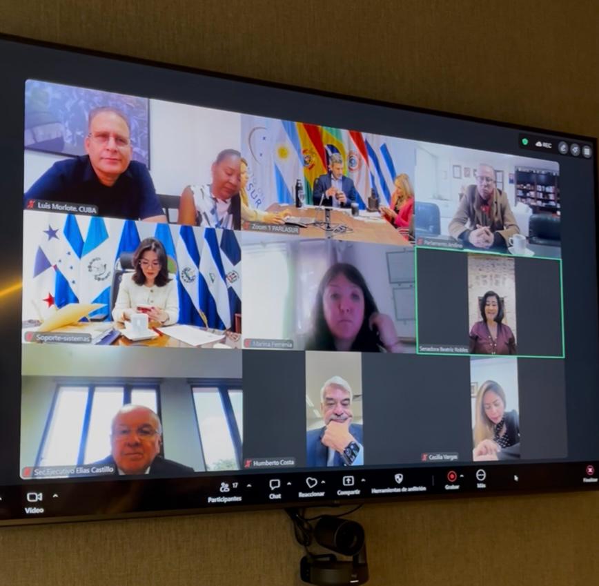 Parlamento MERCOSUR tweet media