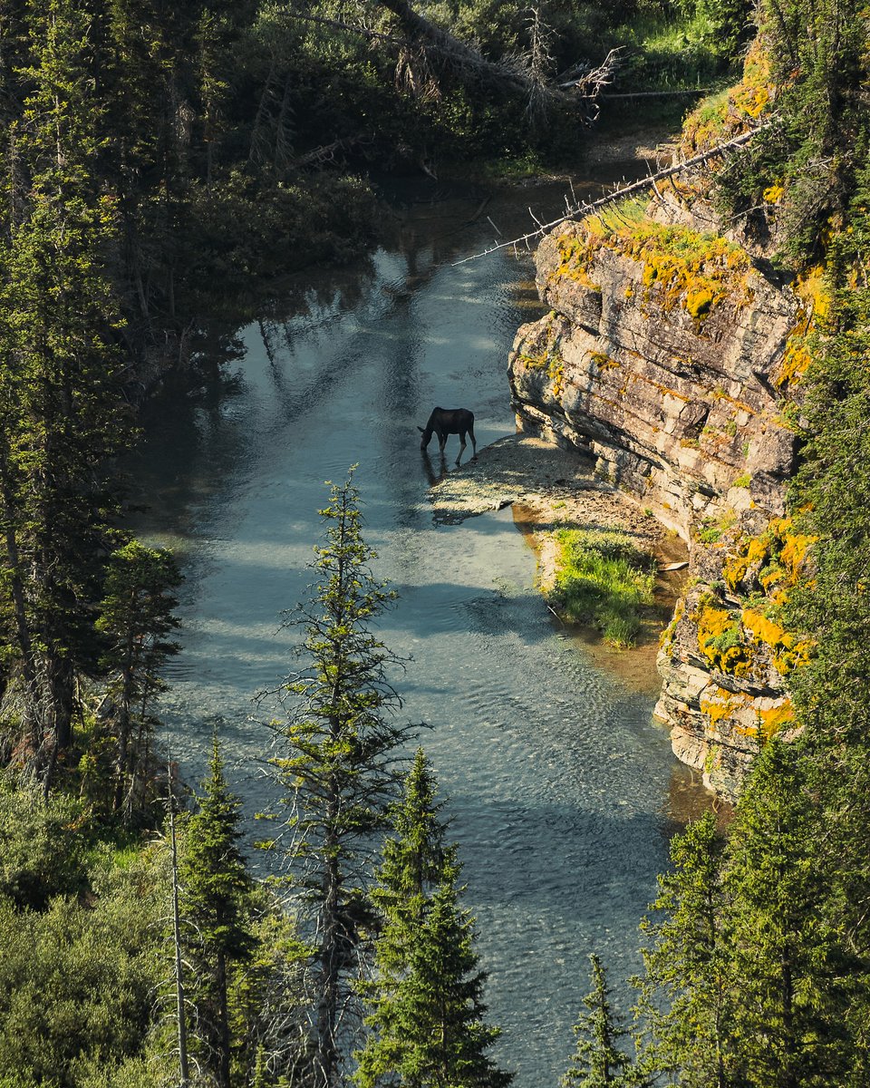 Visit_Kalispell's tweet photo. A serene Montana moment.

Photo: LukeThroughMyEyes Instagram https://t.co/hz11sutHvp