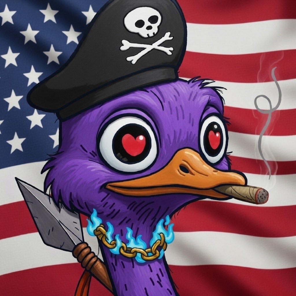 JNova tweet media