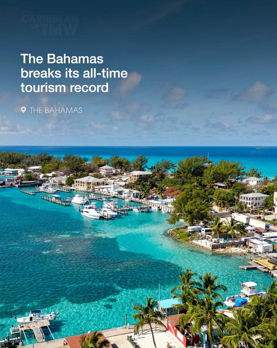 Caribbean of Tomorrow tweet media