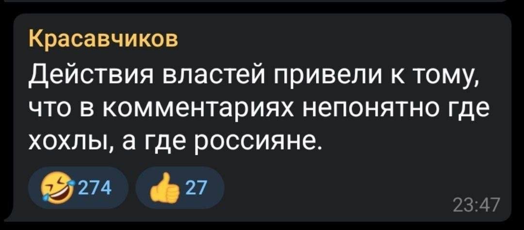 Dmitrii Razinkov tweet media