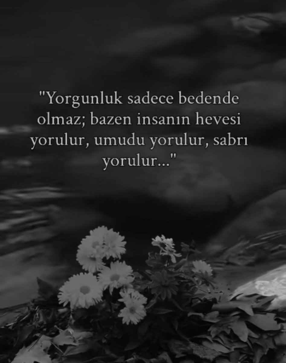 memet aydın tweet media
