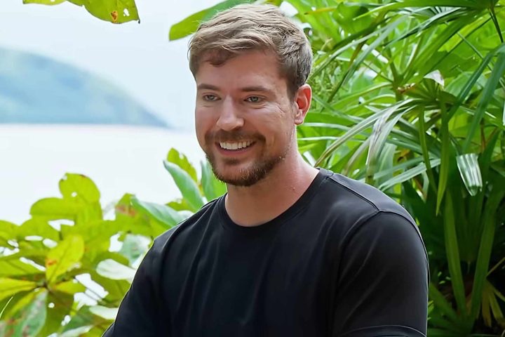 eli ꕤ tweet media