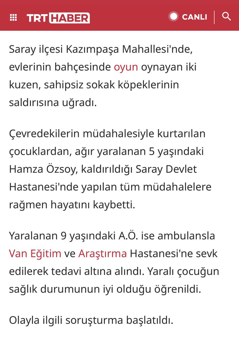 Av. Meltem Zorba tweet media