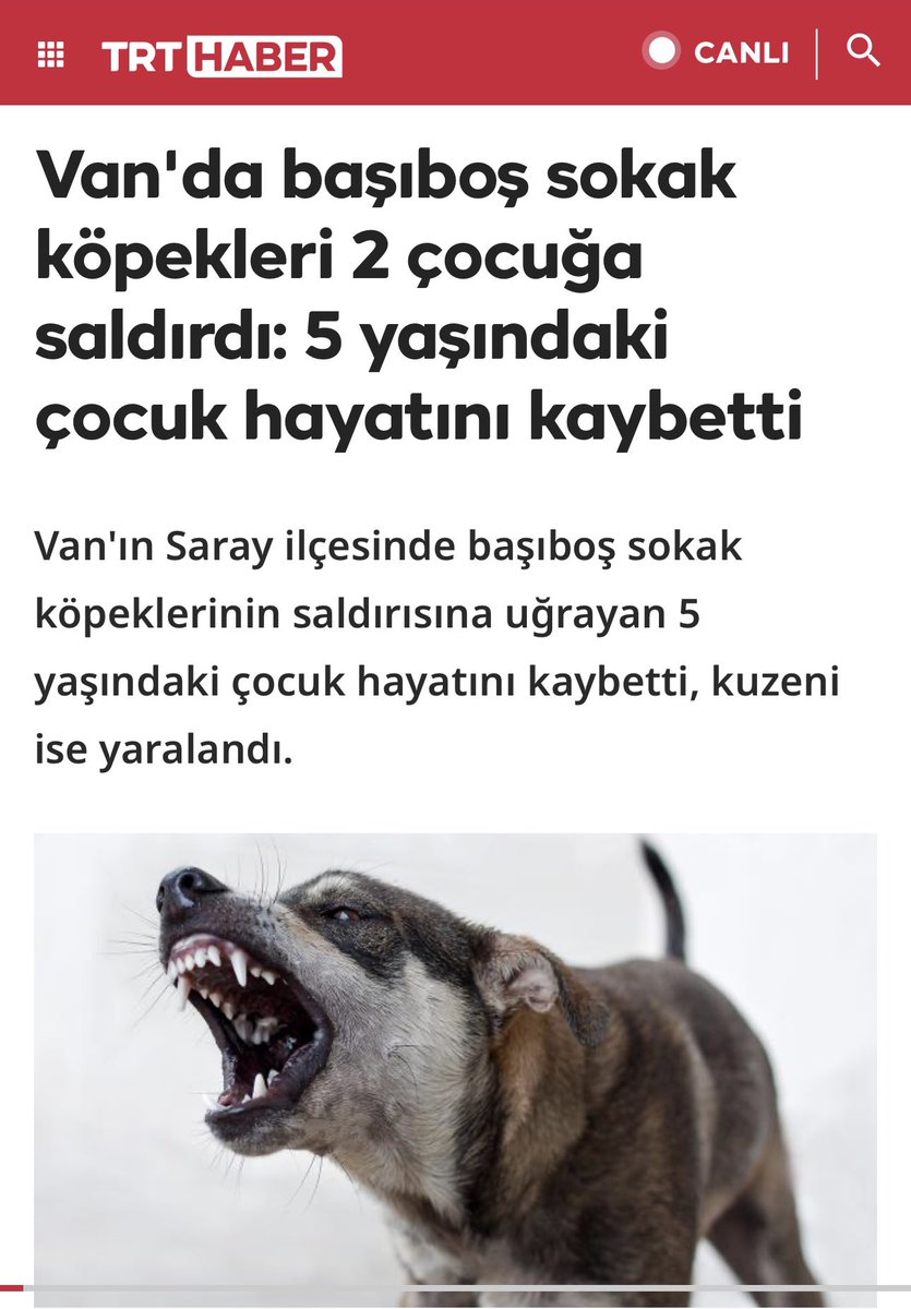 Av. Meltem Zorba tweet media