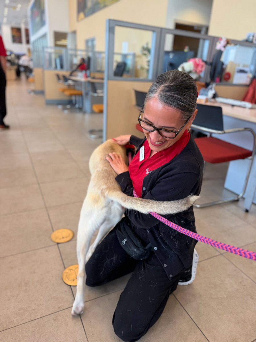 SA Humane Society tweet media