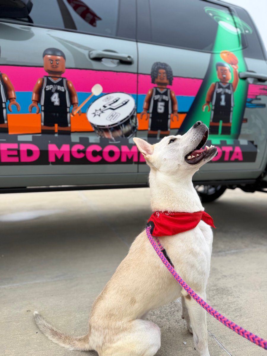 SA Humane Society tweet media