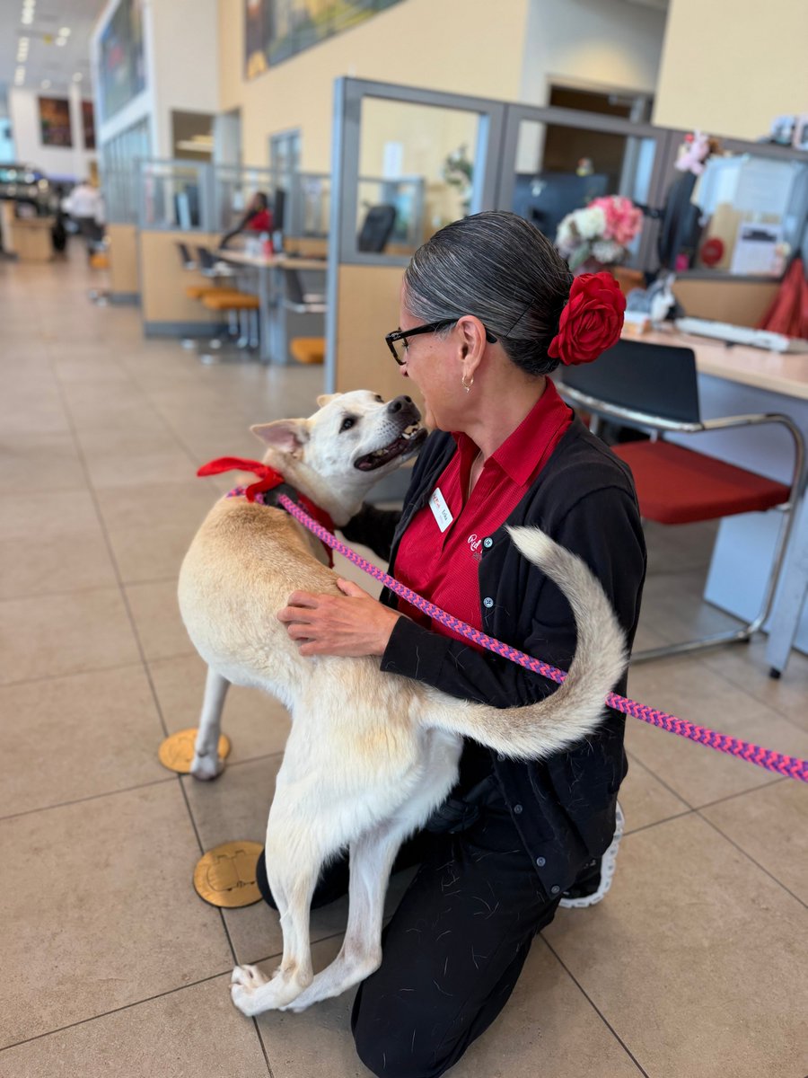 SA Humane Society tweet media