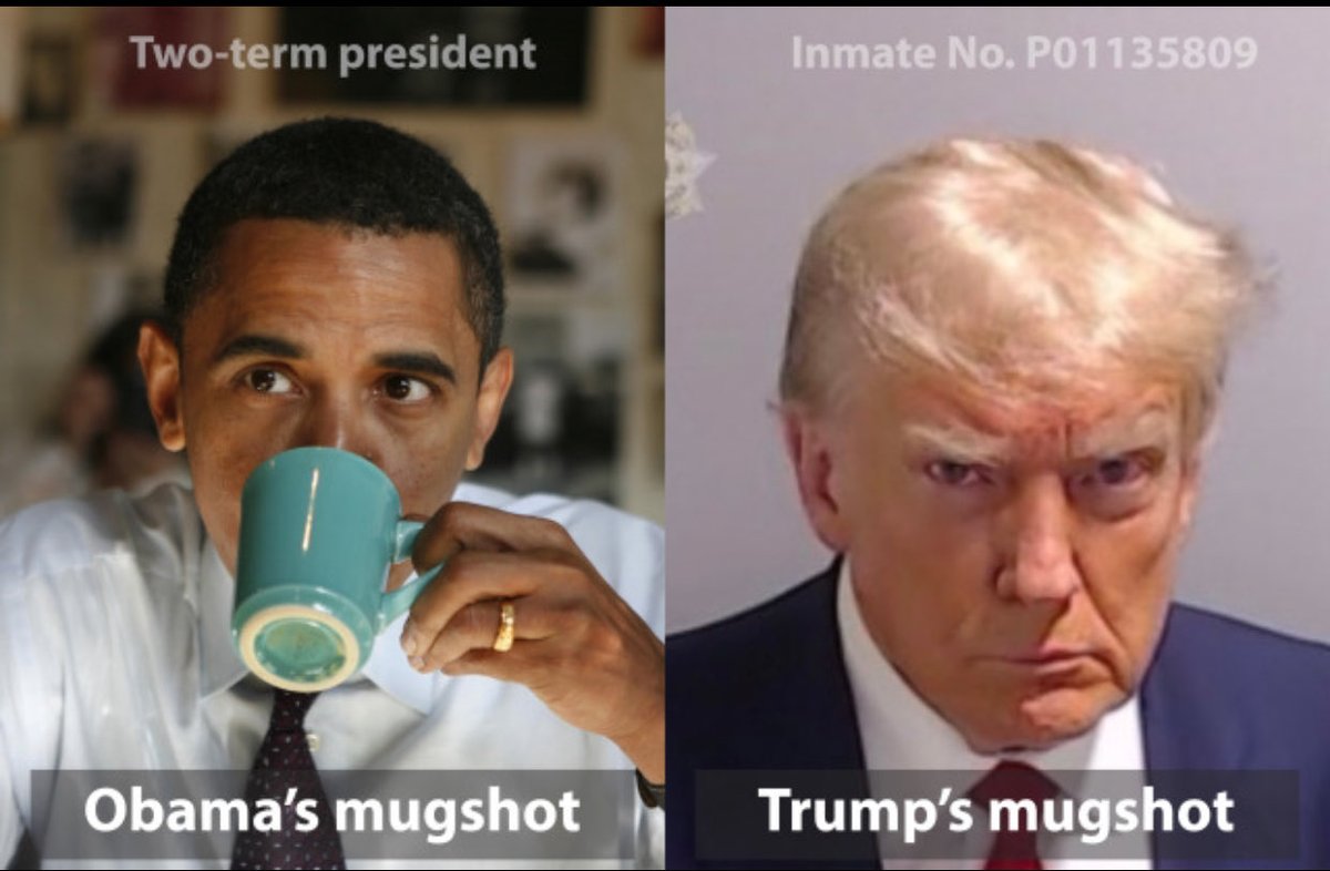 Dr. Doggy-Styles 🇺🇸 tweet media