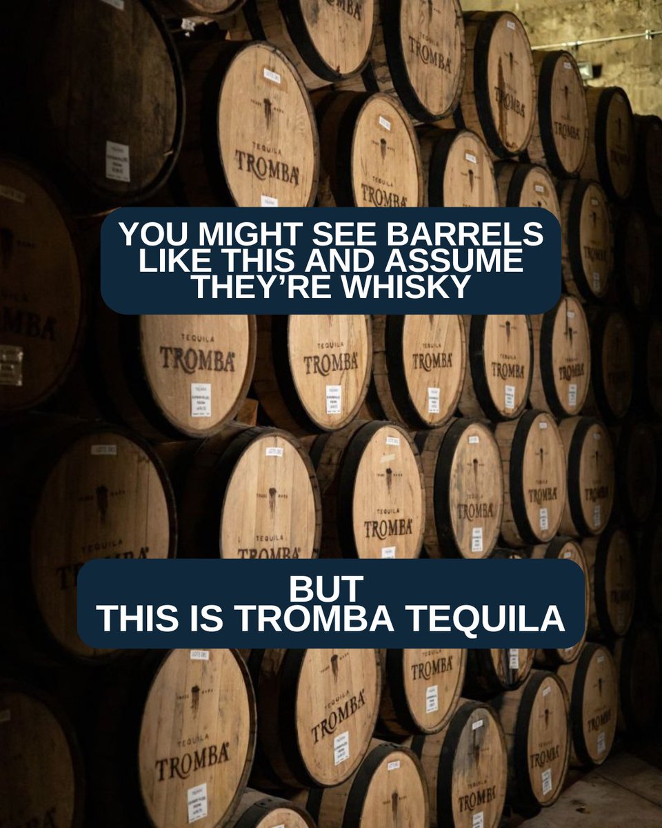 Master of Malt tweet media