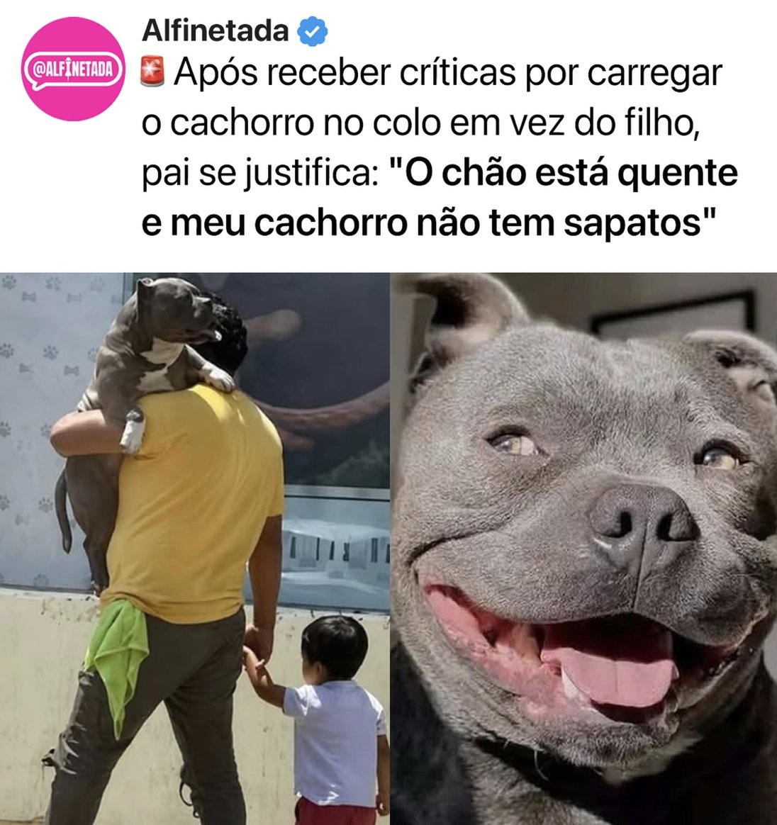 Delegado Bruno Lima tweet media