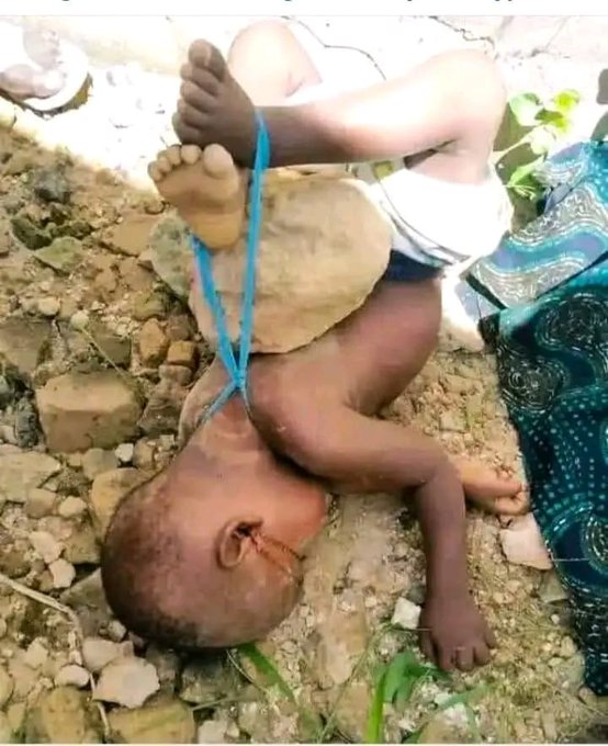 Jomaca18's tweet image. Este horror está pasando en el norte de Nigeria, en estados mayoritariamente cristianos. En este caso ha ocurrido en el estado de Naka Benue (del 85% al 95% de cristianos) ante la impasibilidad e inoperancia del ejército nigeriano