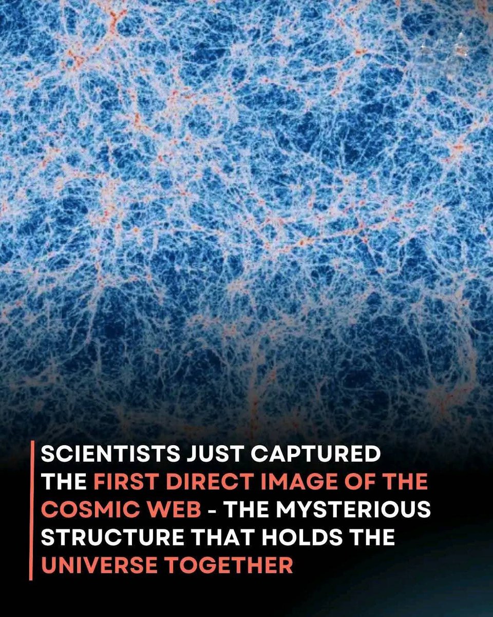 Night Sky Now tweet media