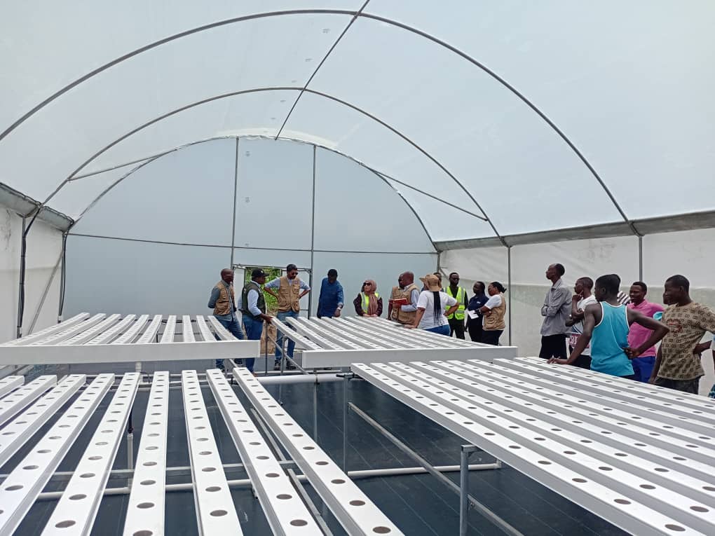 IImbaraga's tweet photo. This hydroponic greenhouse,will empower youth with modern agriculture skills and support their economic growth.

#Agriculture #YouthEmpowerment #Hydroponics https://t.co/0YY7oFCxUI