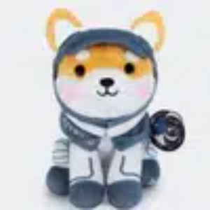 @Emmanuel kizzy tweet media