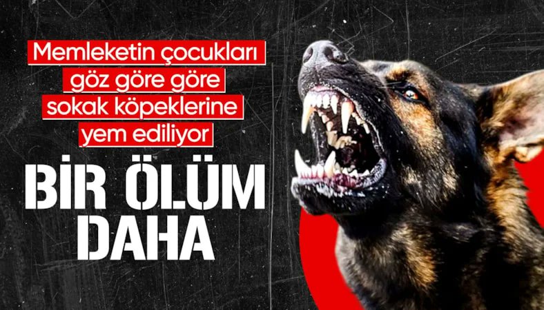 ENSONHABER tweet media