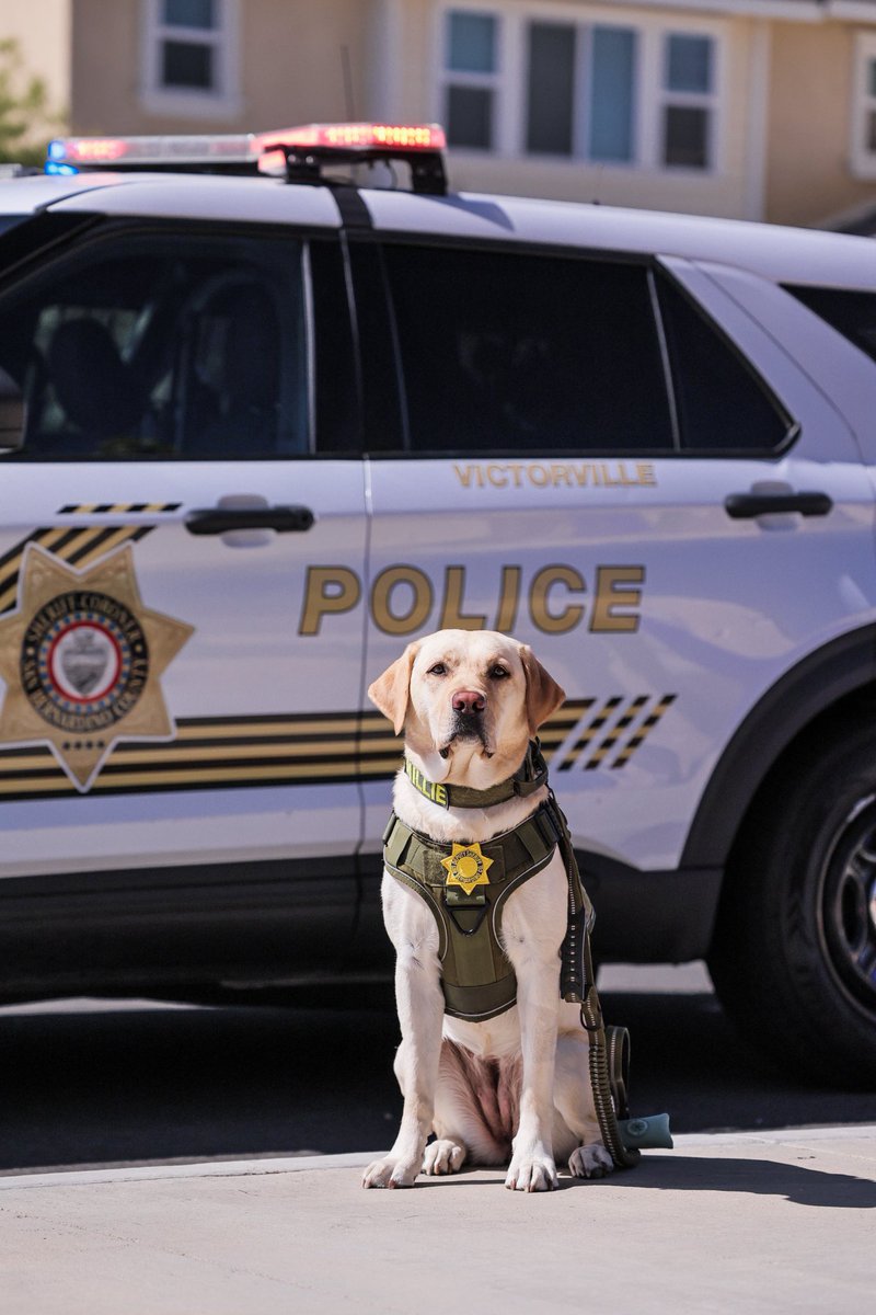 SBCSD Public Affairs Division tweet media