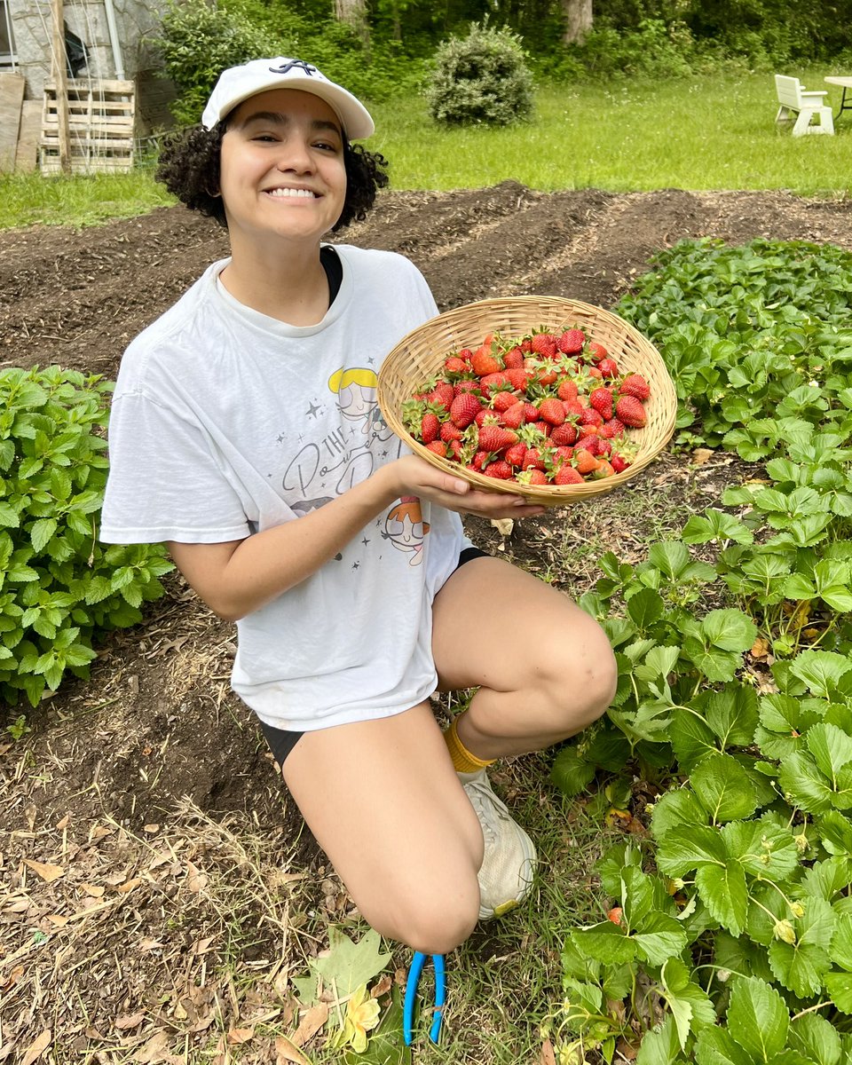 A. Johnson tweet media