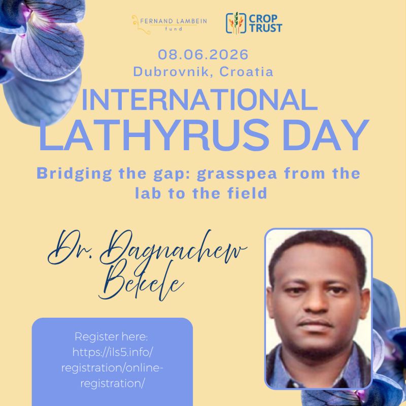 grasspeanet's tweet photo. 🎤 #LathyrusDay2026 Speaker Spotlight
In Ethiopia, where farming faces drought and poor soils, #grasspea remains a lifeline 🌱@dagnewerku #EIAR is working to improve this resilient crop, turning research into real impact for smallholder farmers.
🔗https://t.co/h9HMAS73DD https://t.co/YElzRsepCL