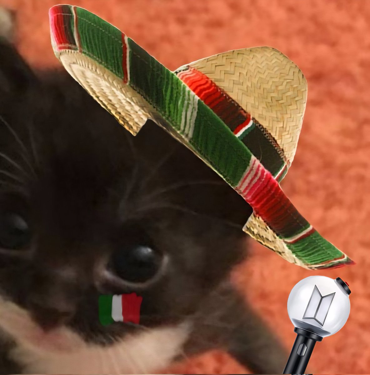 Mexas, ya vayan ensayando el "BANGTAN HERMANOS, YA SON MEXICANOS". Por favor😩