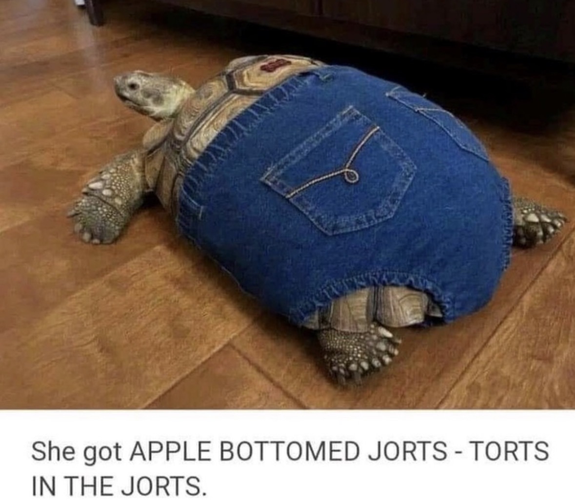 Respectful Memes tweet media