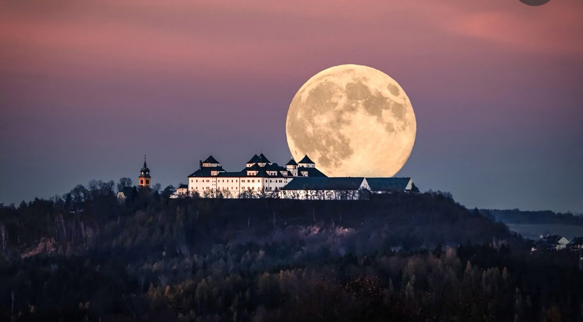 Wolfgang Dudschig tweet media