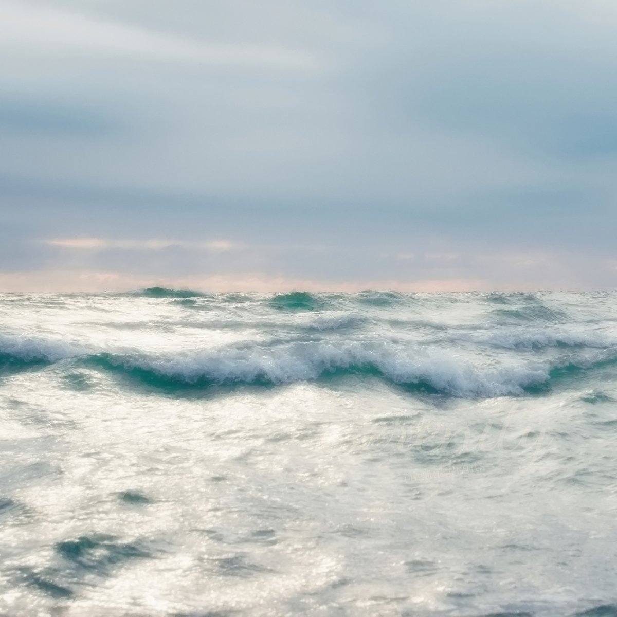 GP_NaturePhoto's tweet image. #NaturePhotography #EtsySeller #DigitalDownload #Interjers
etsy.com/listing/449059…