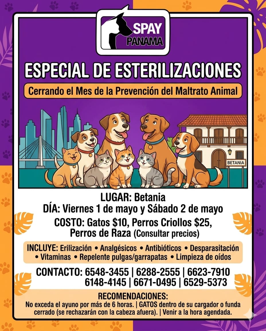 Spay Panama tweet media