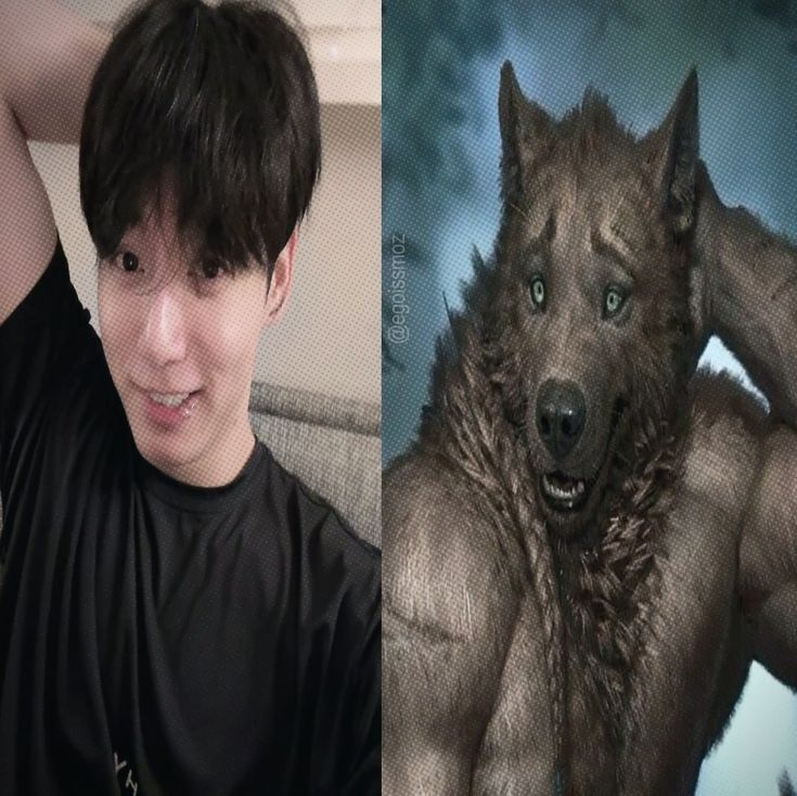 tsuki VAI VER O BTS !!!!!!!!!!!!!! tweet media