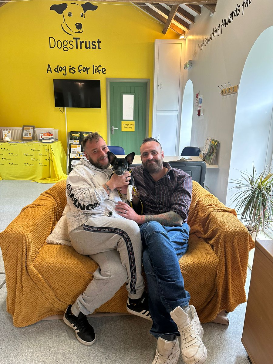 DT_Bridgend's tweet image. Four happy endings in one day 💛🐾

Tina, Chase, Robbie &amp;amp; Alfie have all found their forever homes! Huge thanks to everyone who supports rescue and makes moments like this possible. Wishing them all a lifetime of love 🏡✨

#adoptdontshop #dogstrust #foreverhome #rescue #dogs