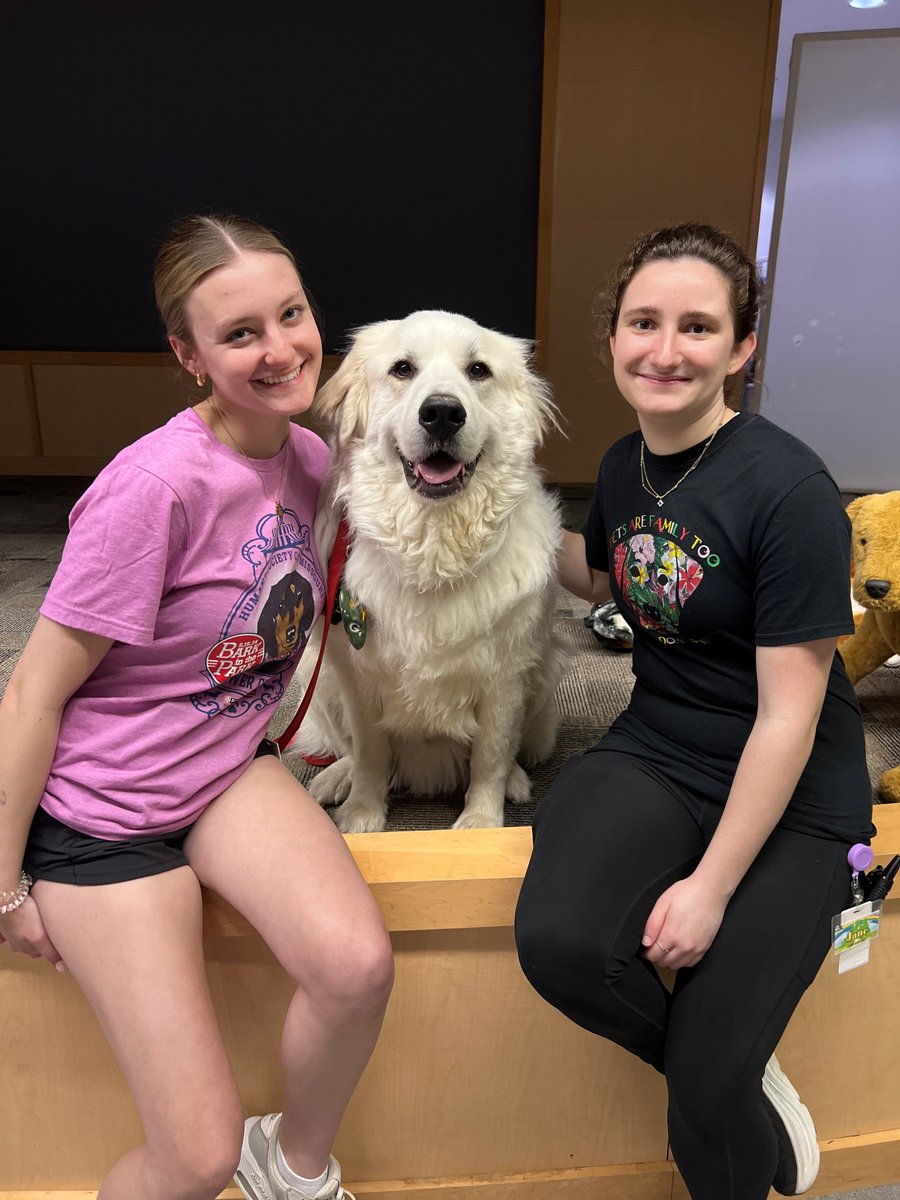 Humane Society of Missouri tweet media