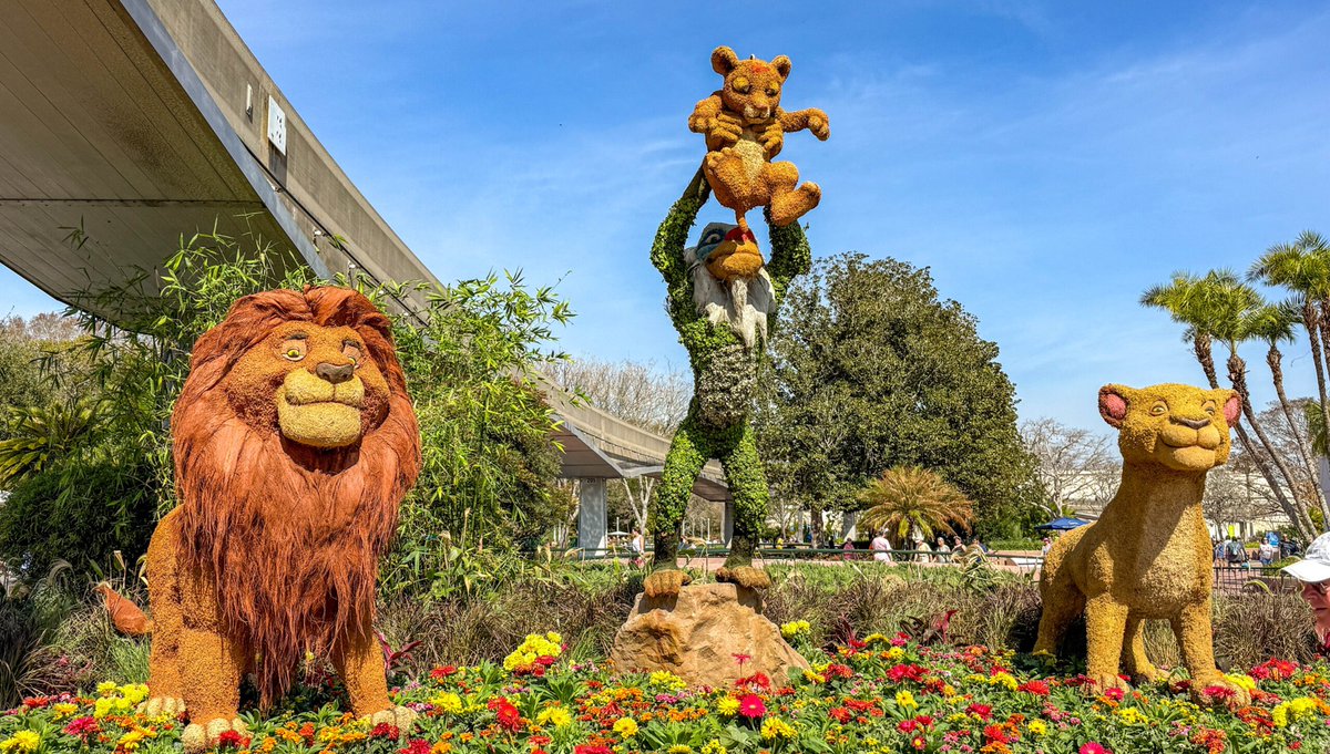 MainStChatter's tweet image. Walt Disney World is experiencing a tranquil week, with low crowd levels and manageable wait times. April 29th marks the start of a predictable stretch, but smaller factors like park downtime can shift wait times unexpectedly.

#Disney #DisneyParks #DisneyNews

📷: Touring Plans