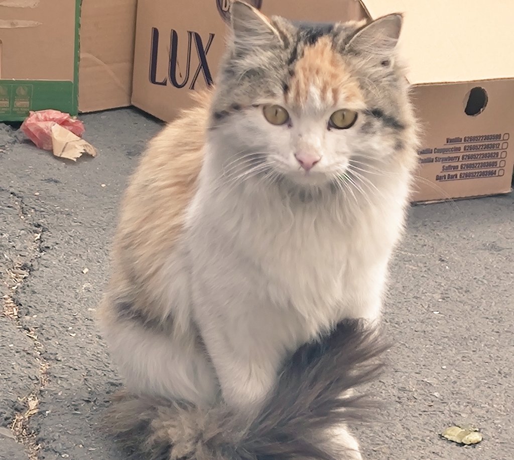 Smile ⁦⚕️ tweet media