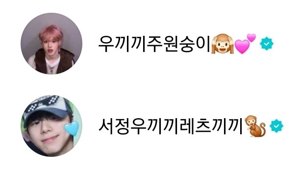 포하니🐈‍⬛ tweet media