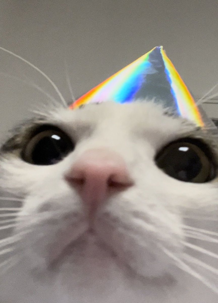 🌈⃤𓁹ꜱʜᴇʀʙɪᴇ.ᐟ tweet media