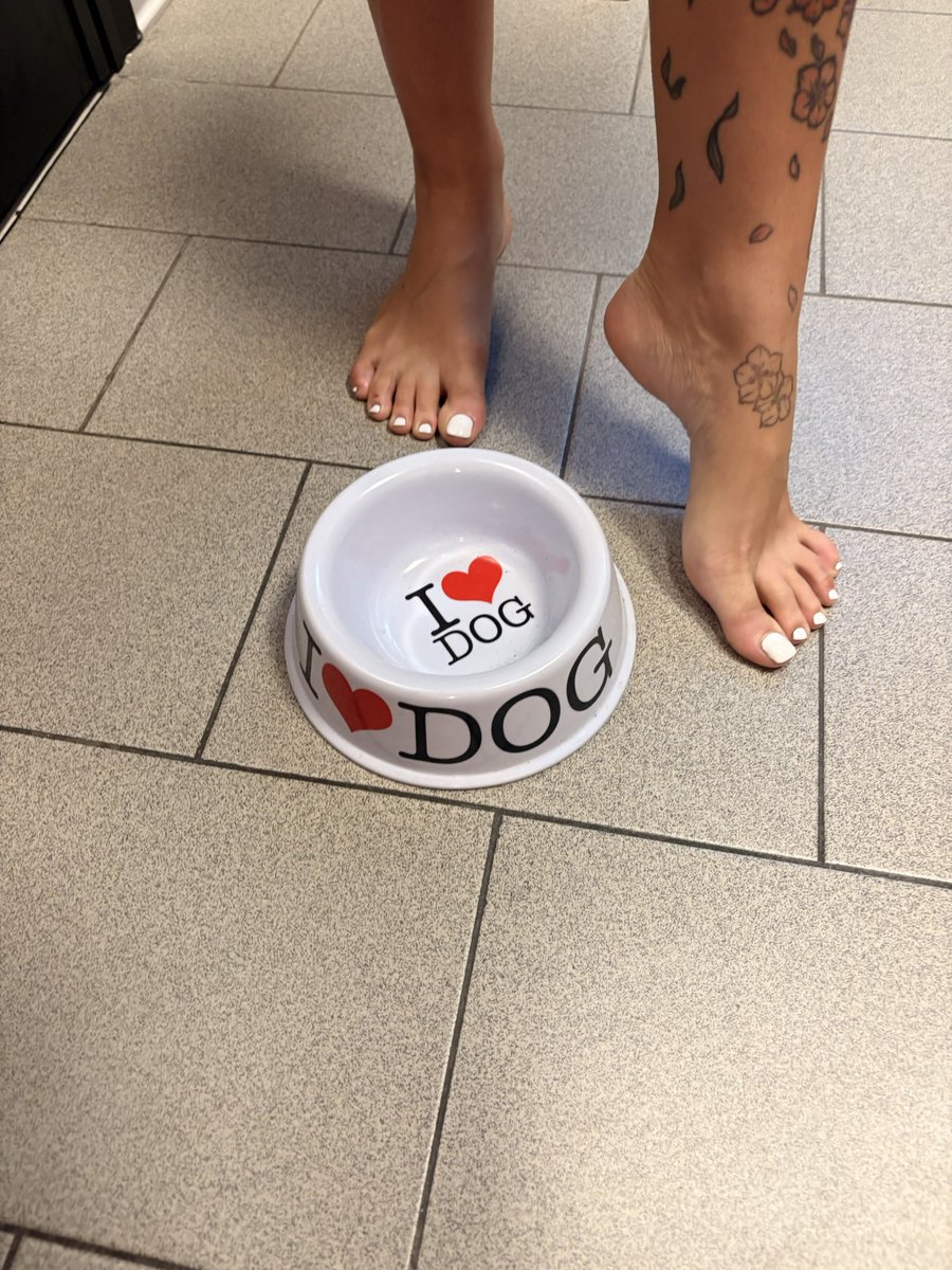 lamissdiabla's tweet photo. #dog #dogs https://t.co/5ar0jY2VYJ
