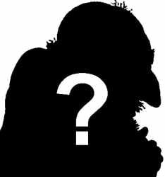 ʀᴀᴠᴇɴᛟʀᴇꜱᴏʟᴠᴇ tweet media