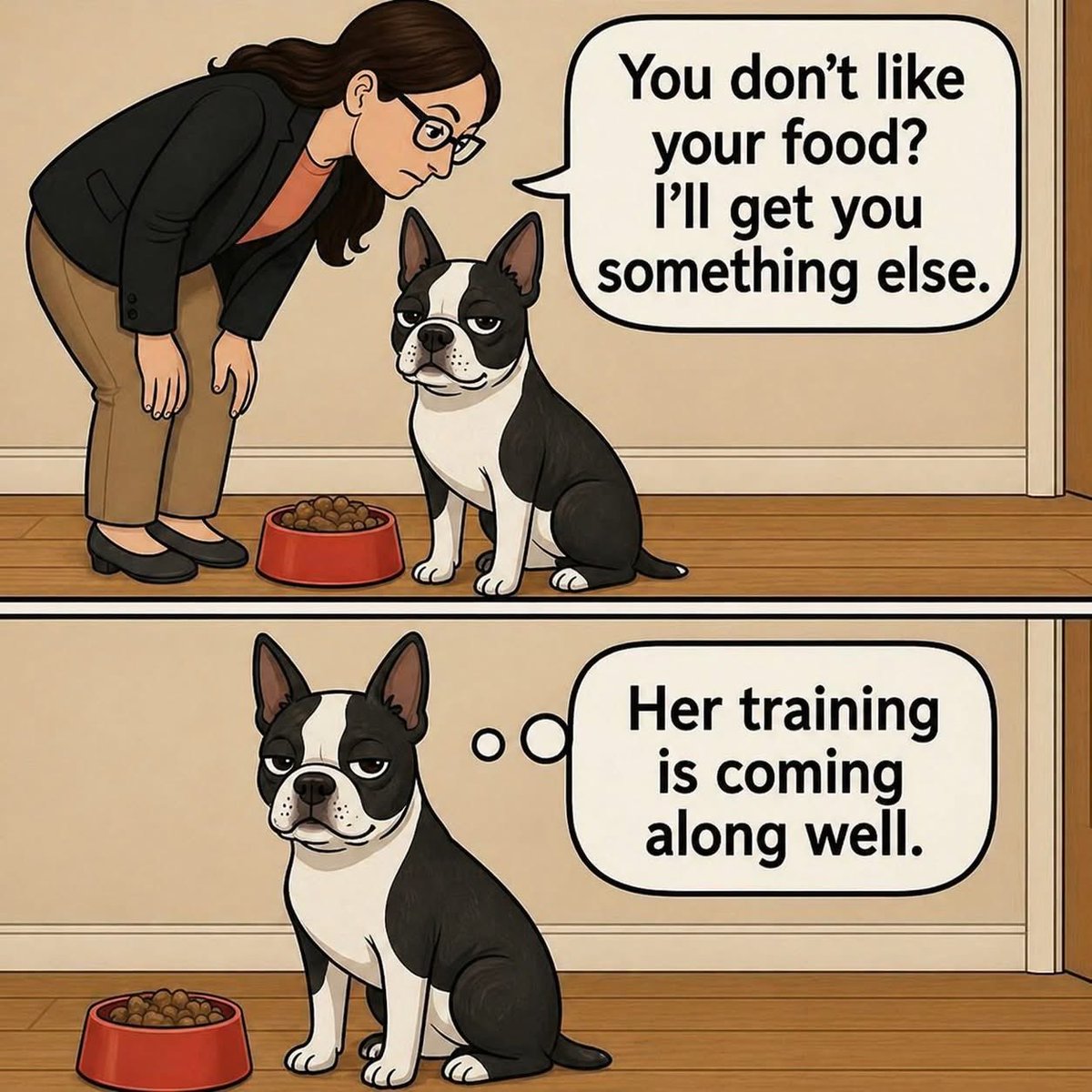 Boston Terrier World tweet media