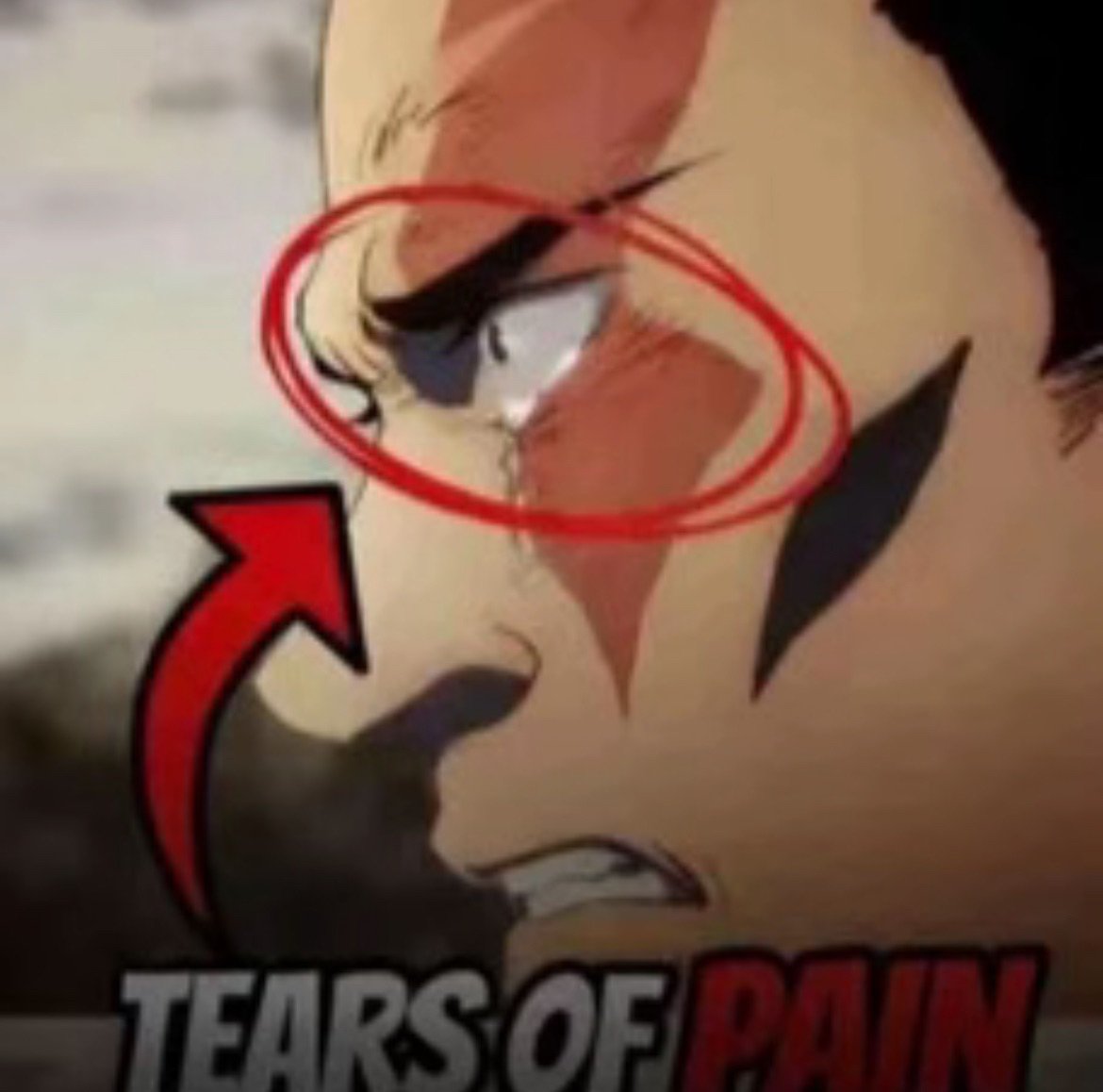 starr⁹ tweet media