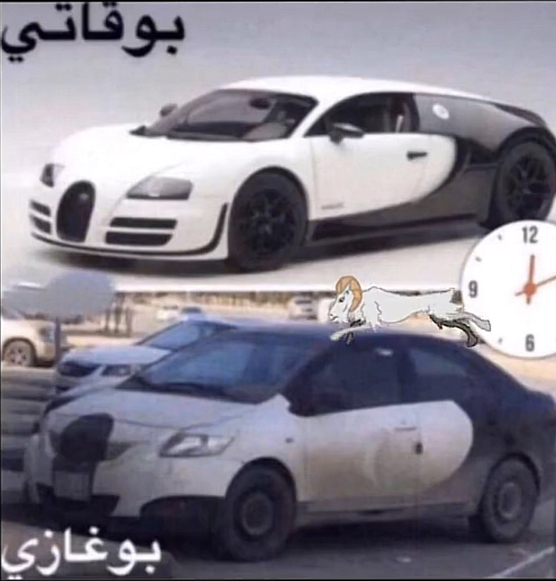 بطله النُخبتين |M🙎🏻‍♀️ tweet media